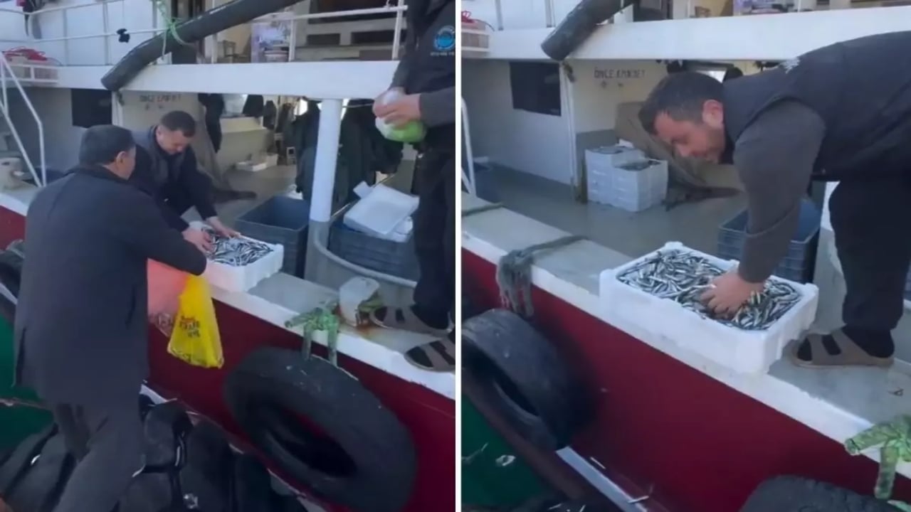 Kasa kasa balığı ücretsiz dağıttılar! Sebebi de bir o kadar ilginç