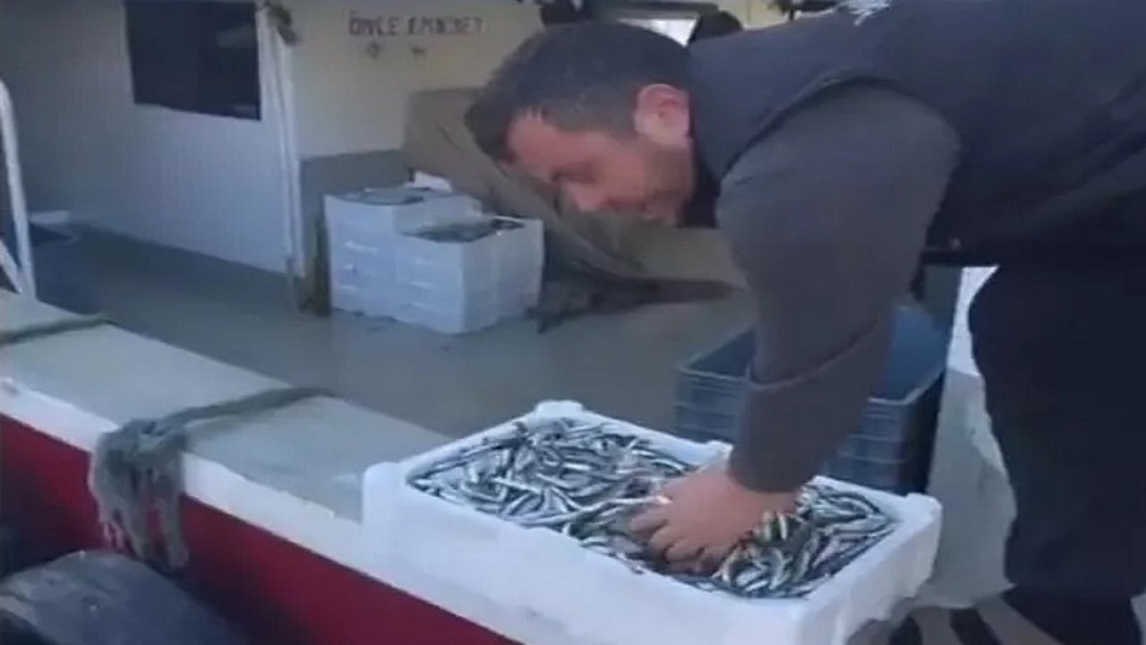 Foto - Kasa kasa balığı ücretsiz dağıttılar! Sebebi de bir o kadar ilginç