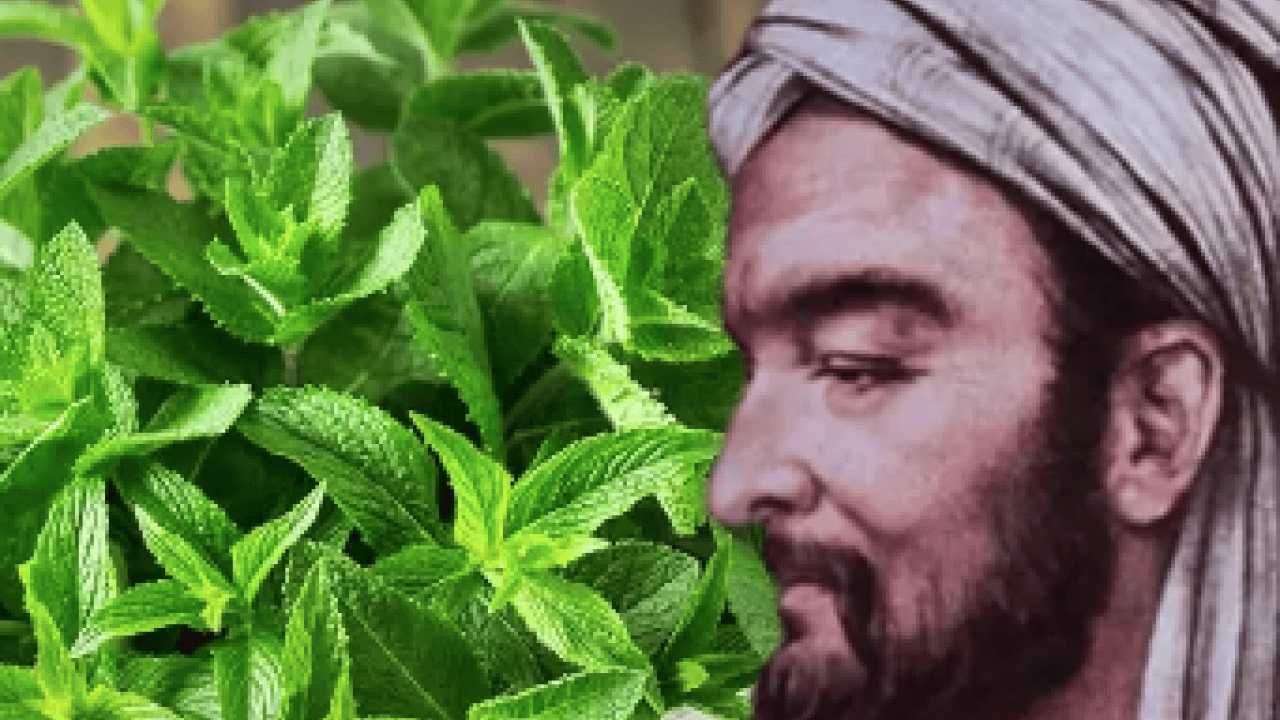 Foto - Kaşıntıya naneli çözüm! Kaşıntıya karşı öneri: Hem pişirin hem suyunu kullanın diyor! İşte formül, kullanım süresi