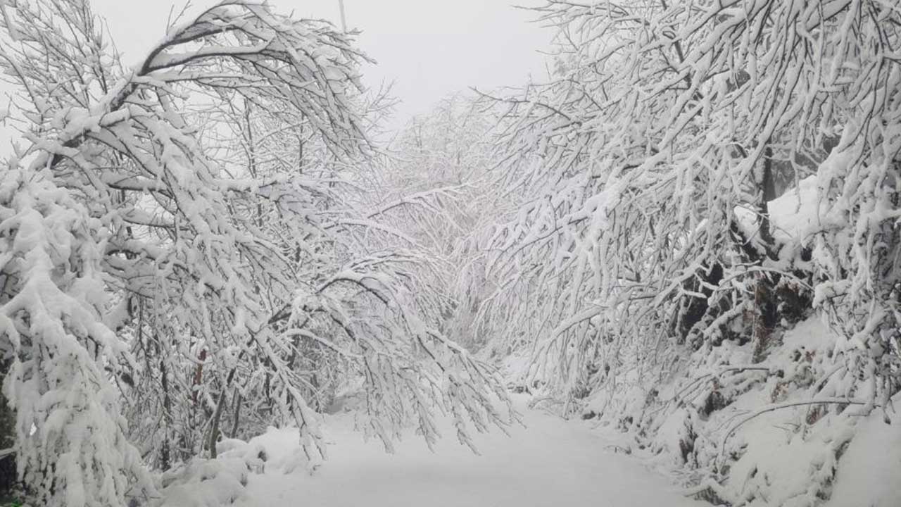 Foto - Kastamonu'da kartpostallık görüntüler! Kar kalınlığı 20 santime ulaştı