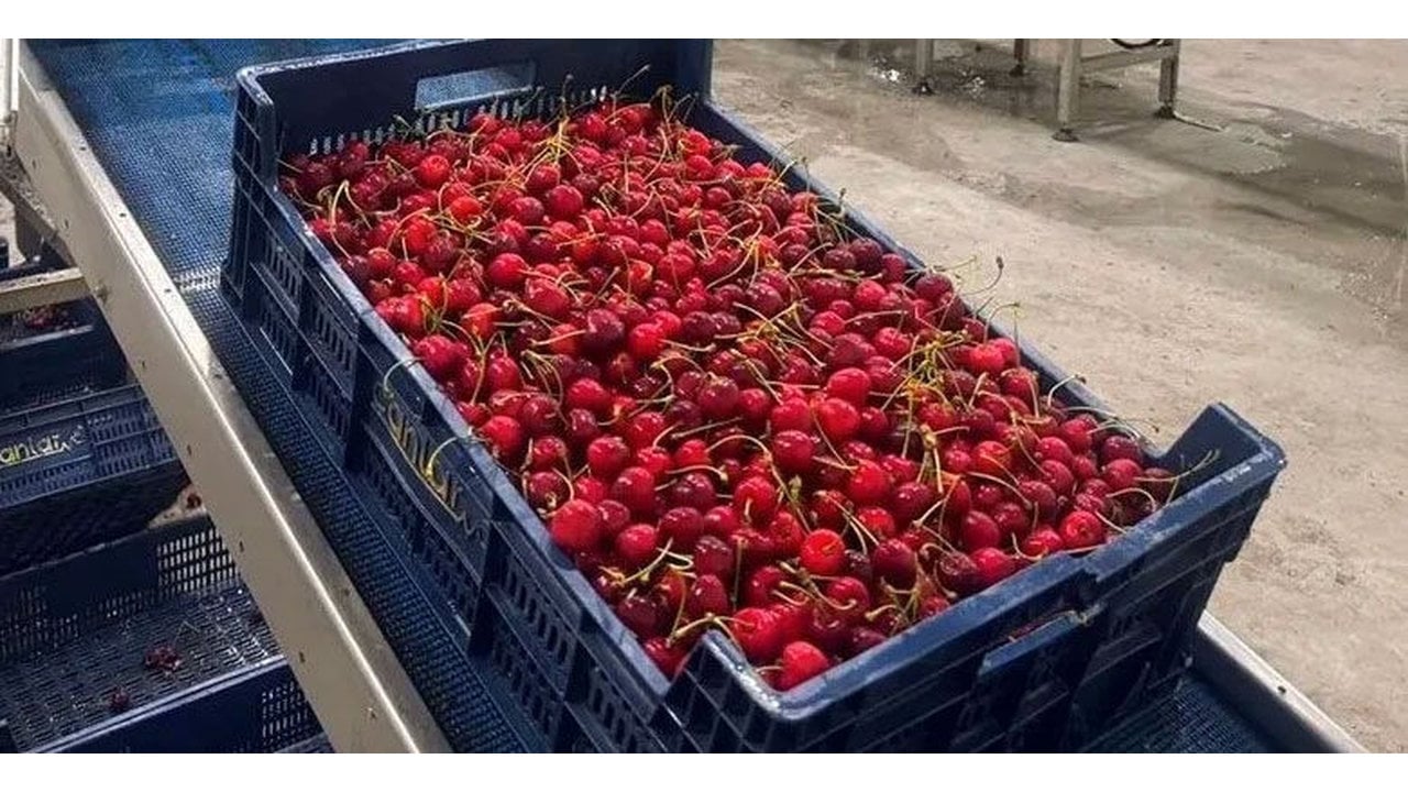 Foto - Kastamonu’da şoke eden olay! Kiraz yediler, hayatlarını kaybettiler