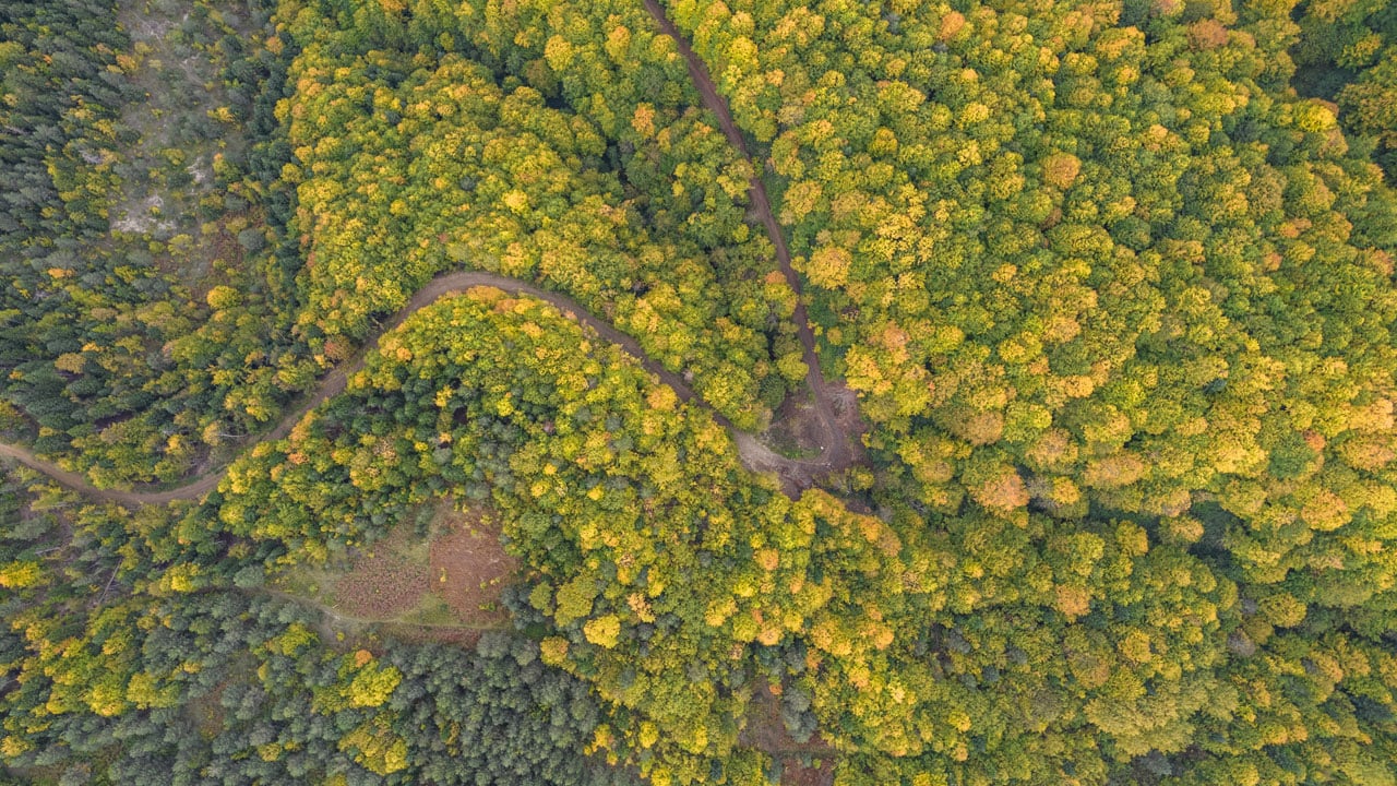 Kastamonu’da sonbahar büyüsü! Renk cümbüşü havadan görüntülendi