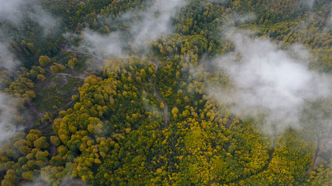 Foto - Kastamonu’da sonbahar büyüsü! Renk cümbüşü havadan görüntülendi