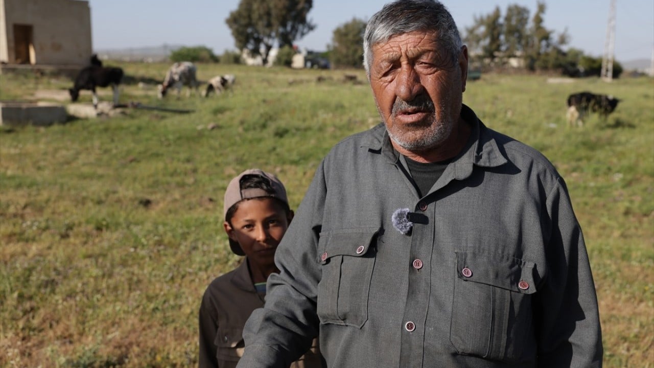 Foto - Katil devlet İsrail rahat durmuyor! Suriye’de hayvanların otlamasına bile izin vermiyorlar