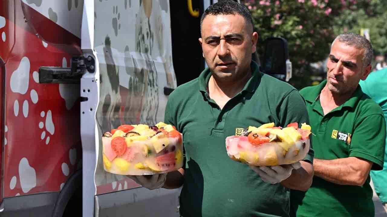 Foto - Kavurucu sıcaklara buzlu kokteyl! Hayvanlara özel dondurmalı serinlik