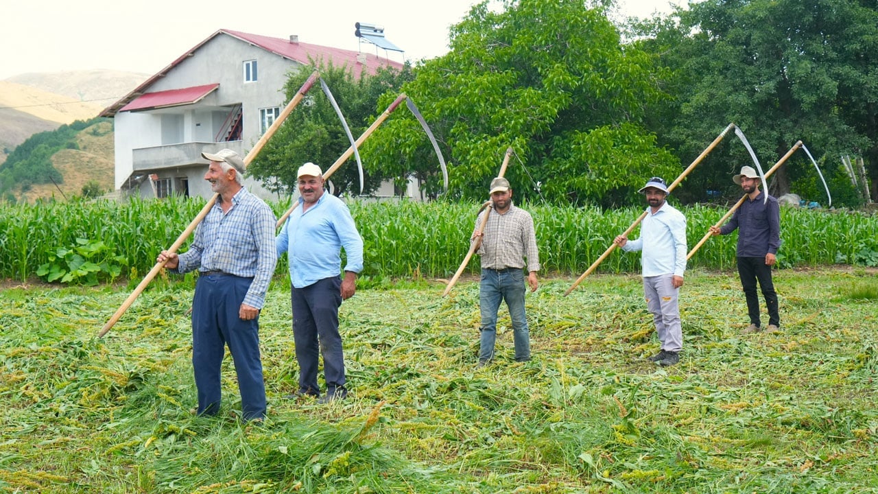 Foto - Kavurucu sıcakta tırpan mesaisi: Çayır orkestrası 