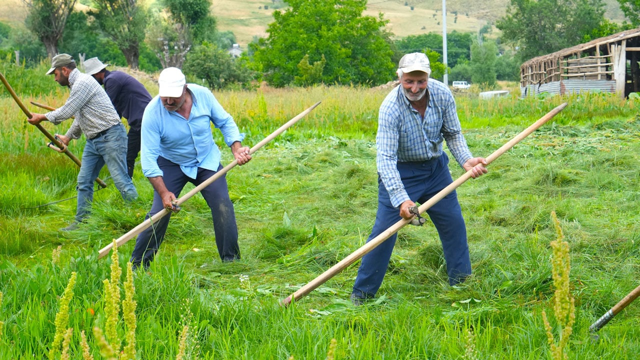 Foto - Kavurucu sıcakta tırpan mesaisi: Çayır orkestrası 