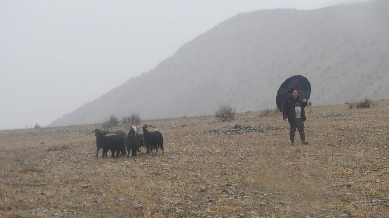 Foto - Kayalıkta mahsur kaldılar! 11 keçi 3 saatte kurtarıldı