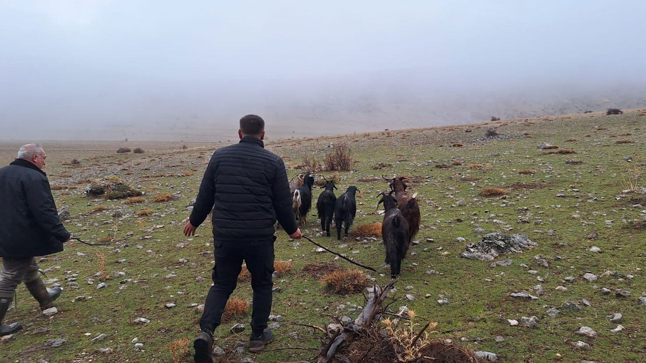 Foto - Kayalıkta mahsur kaldılar! 11 keçi 3 saatte kurtarıldı