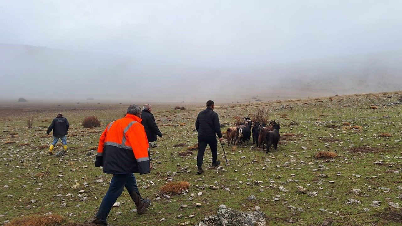 Foto - Kayalıkta mahsur kaldılar! 11 keçi 3 saatte kurtarıldı