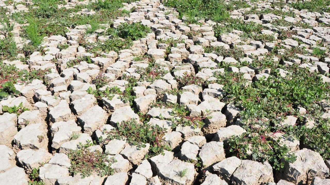 Foto - Kayıklar karaya oturmuştu! Marmara Gölü yıllar sonra yeniden suyla buluştu