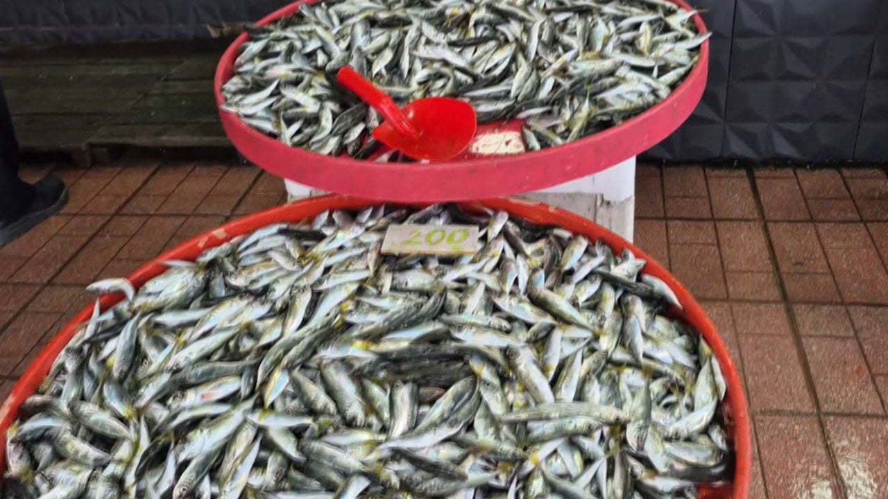 Foto - Kayıklar limanda kaldı! Poyraz balıkçıları vurdu