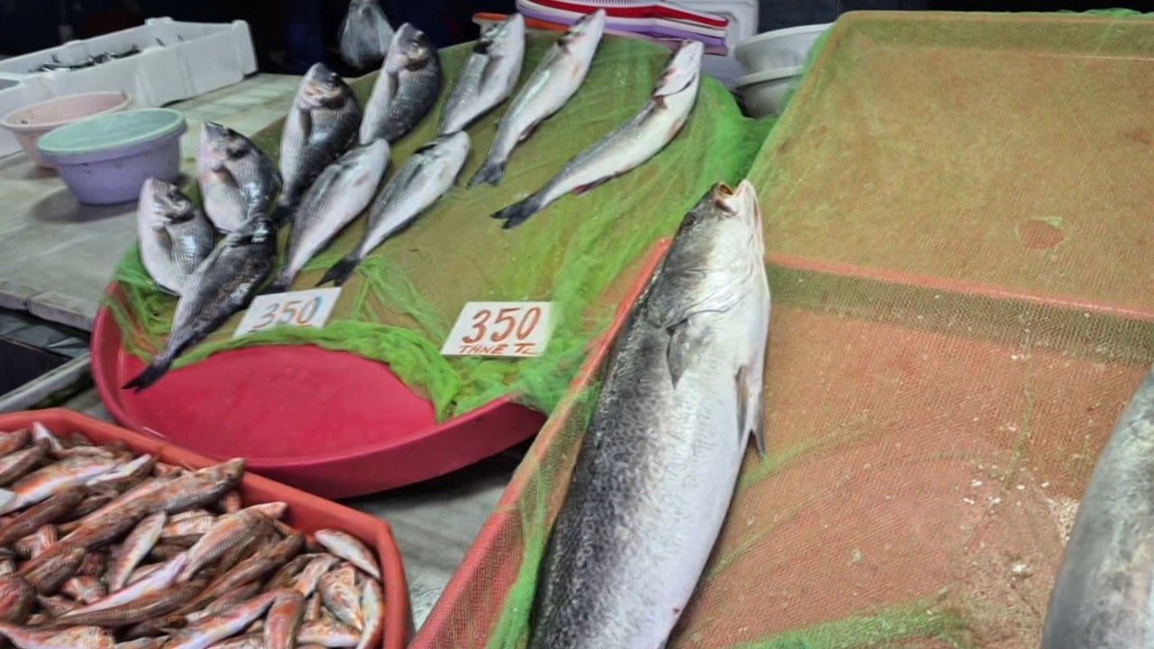 Foto - Kayıklar limanda kaldı! Poyraz balıkçıları vurdu