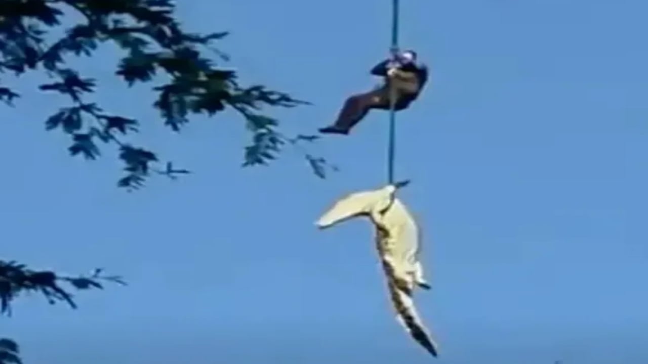 Foto - Kayıp iş insanı dev timsahın karnından çıktı! Midesini açan ekipler gördüklerine inanamadı: İşte katil timsahın yakalanma anı
