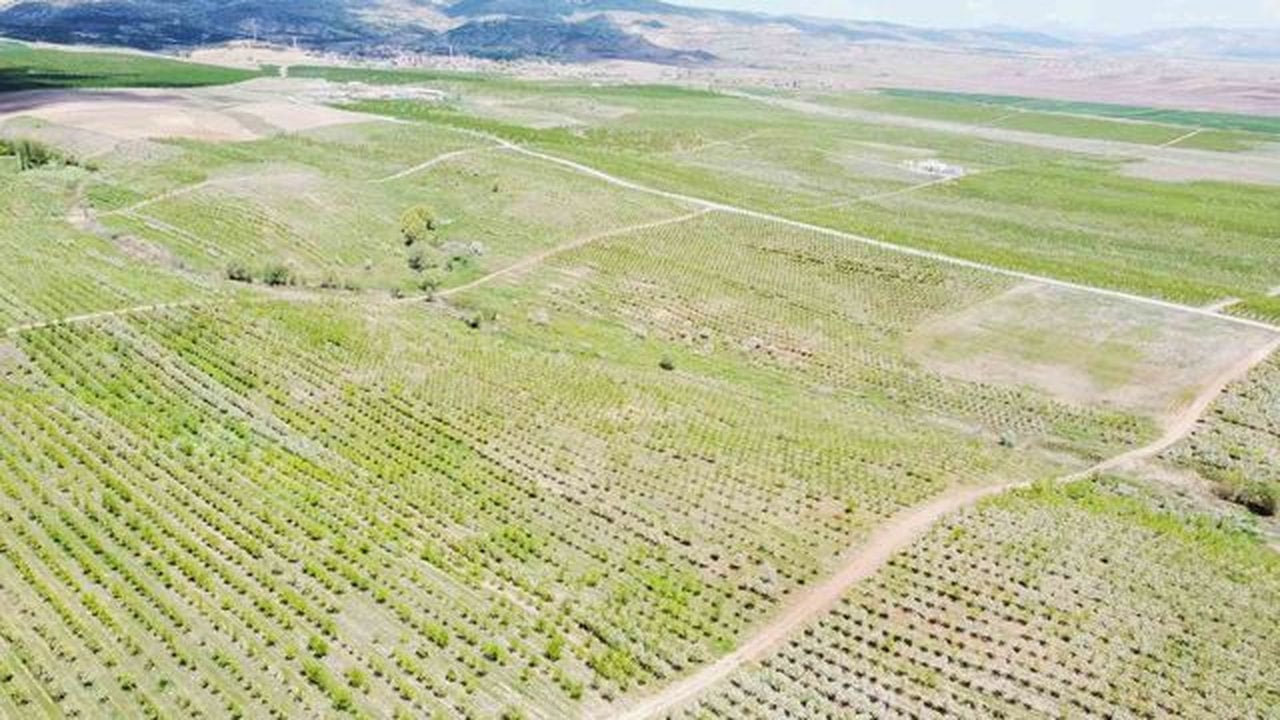Foto - Kaymakamın aklına gelen fikir, bir köyün her şeyini değiştirdi! Göç edenler bile koşa koşa geri dönüyor