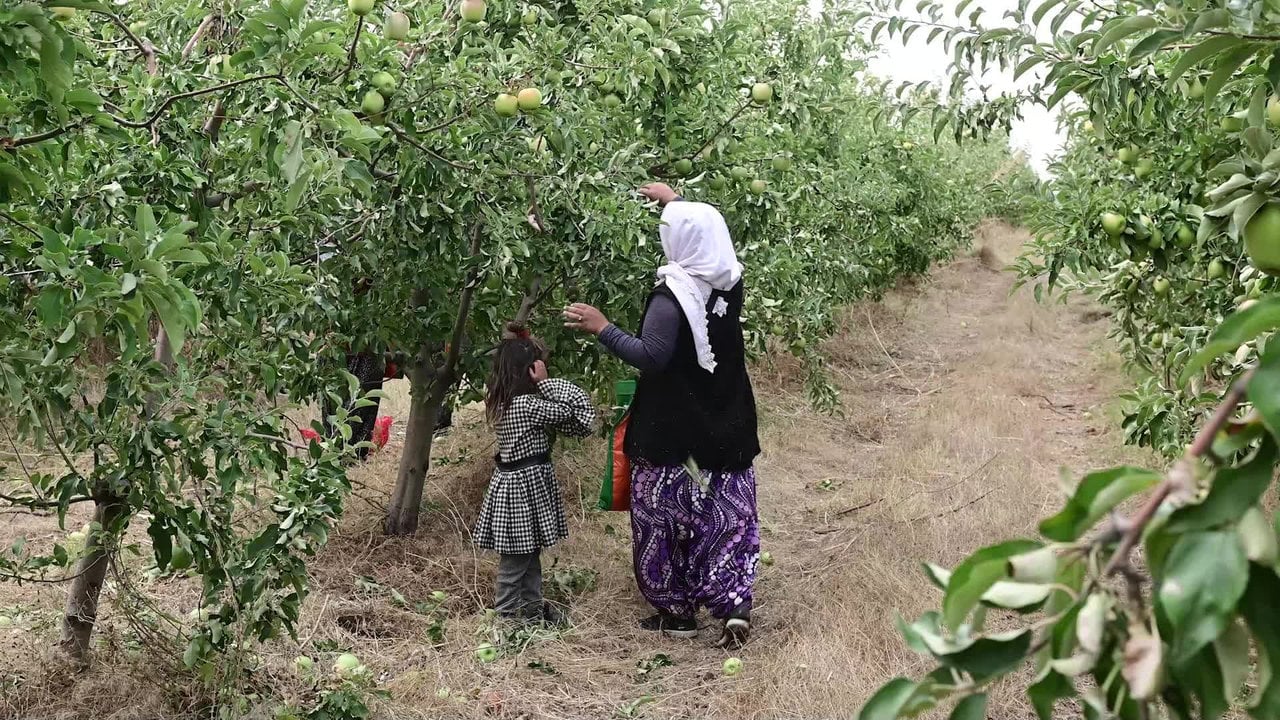 Foto - Kaymakamın aklına gelen fikir, bir köyün her şeyini değiştirdi! Göç edenler bile koşa koşa geri dönüyor