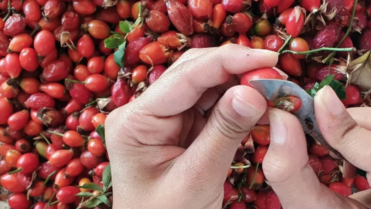 Foto - Kaynatıp kavanozlara koyun! Şişkinliği balon gibi söndürüyor, iltihap falan kalmıyor! Tam bir şifa...