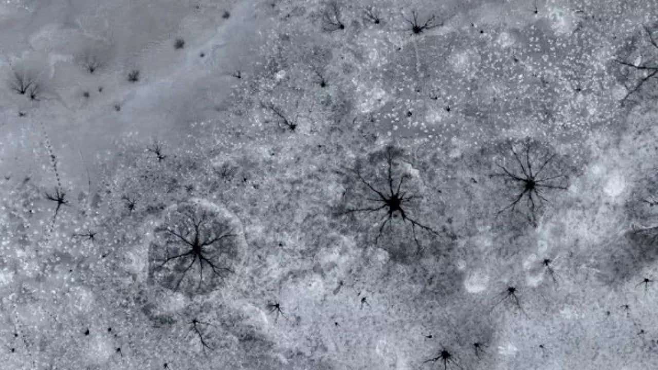 Foto - Kayseri’de buz gözü: Barajda şaşırtan görüntü