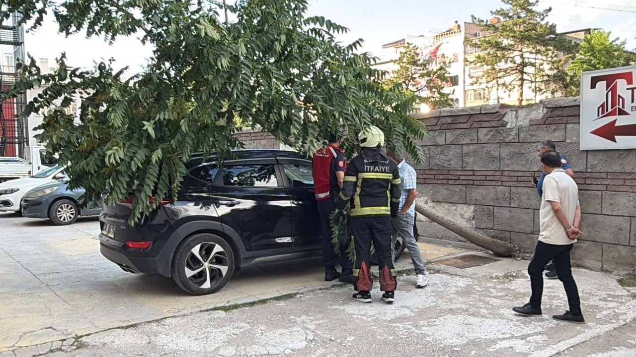 Kayseri’de otoparkta korkutan olay! Devrilen dev ağaç lüks aracın üzerine çöktü!