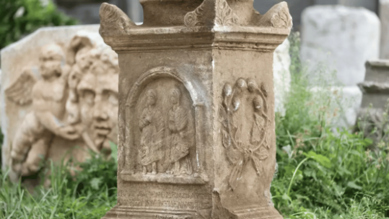 Foto - Taşımaları 7 saat sürdü! Ağırlığı 300 kiloyu buluyor!