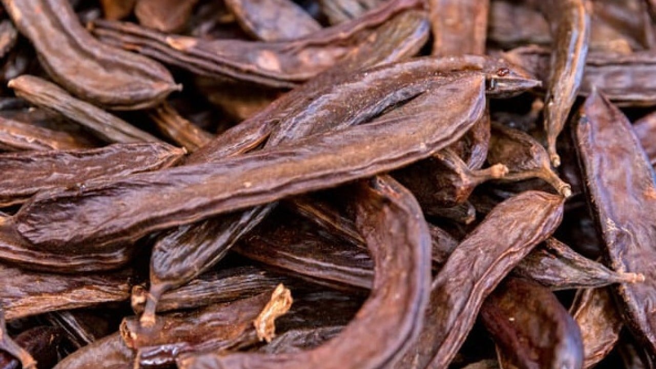 Foto - Keçiboynuzunun faydaları: Hastalıklara dur diyor! Yaşam kaynağı, sadece 15 dakika yetiyor!