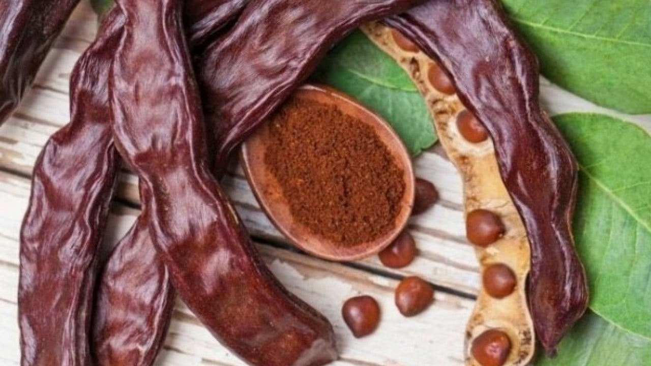 Foto - Keçiboynuzunun faydaları: Hastalıklara dur diyor! Yaşam kaynağı, sadece 15 dakika yetiyor!