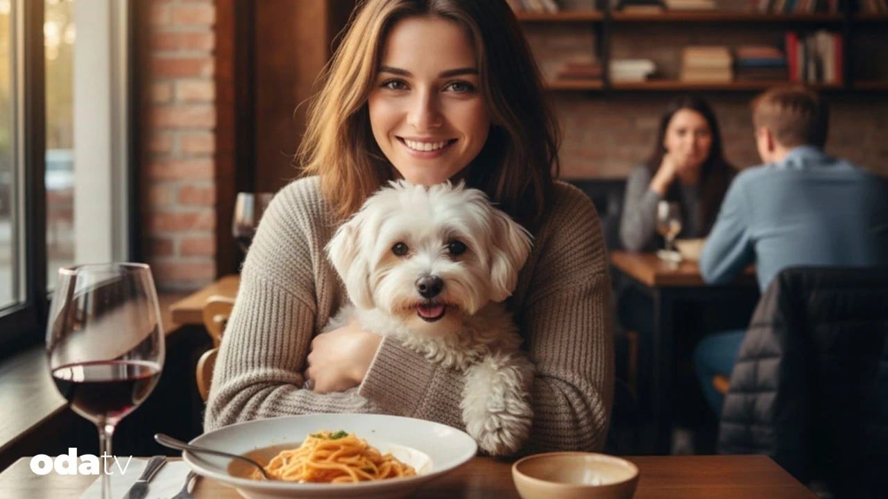 Foto - Kedi köpek alınmayacak İçeri girmeleri yasaklanacak