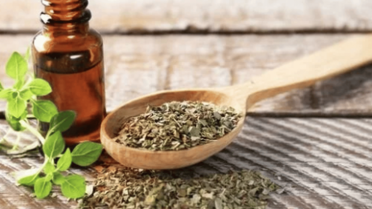 Foto - Kekik ve kekik yağı dişleri beyazlatır mı? Her derde deva: Hem yeterli hem doğal sağlık formülünü açıkladılar...