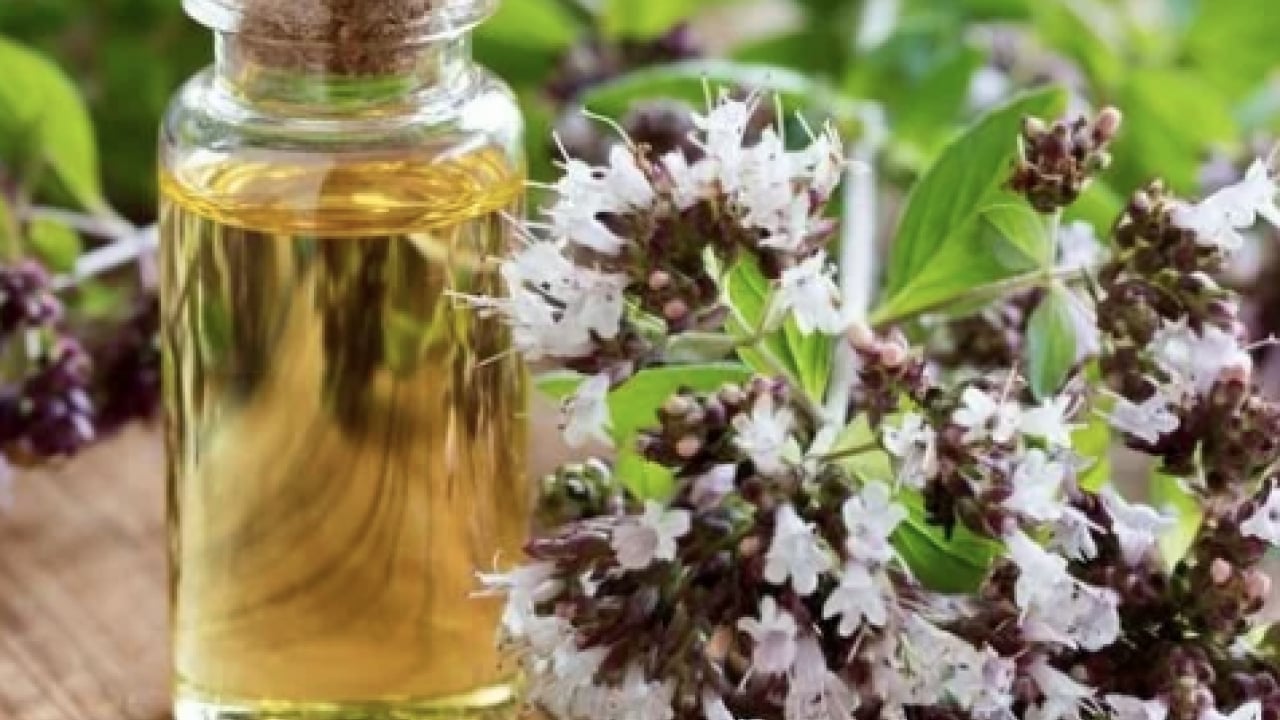 Foto - Kekik ve kekik yağı dişleri beyazlatır mı? Her derde deva: Hem yeterli hem doğal sağlık formülünü açıkladılar...