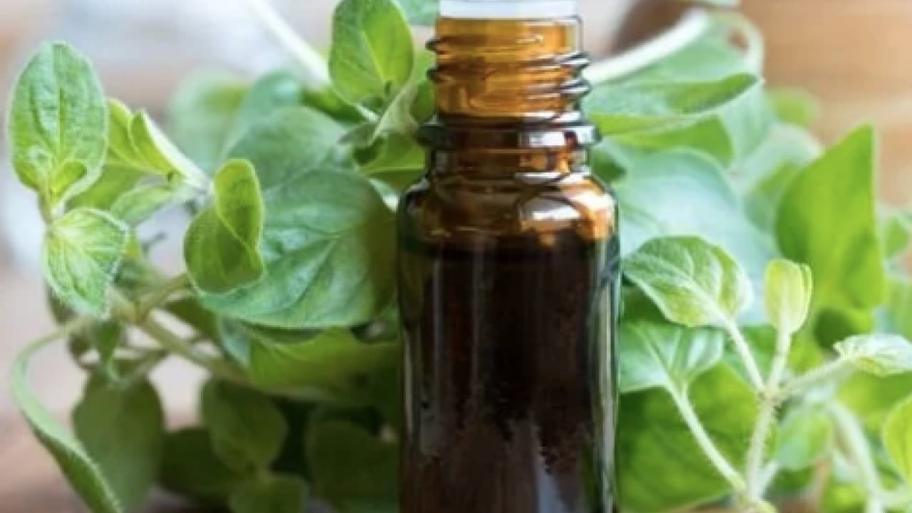 Foto - Kekik ve kekik yağı dişleri beyazlatır mı? Her derde deva: Hem yeterli hem doğal sağlık formülünü açıkladılar...