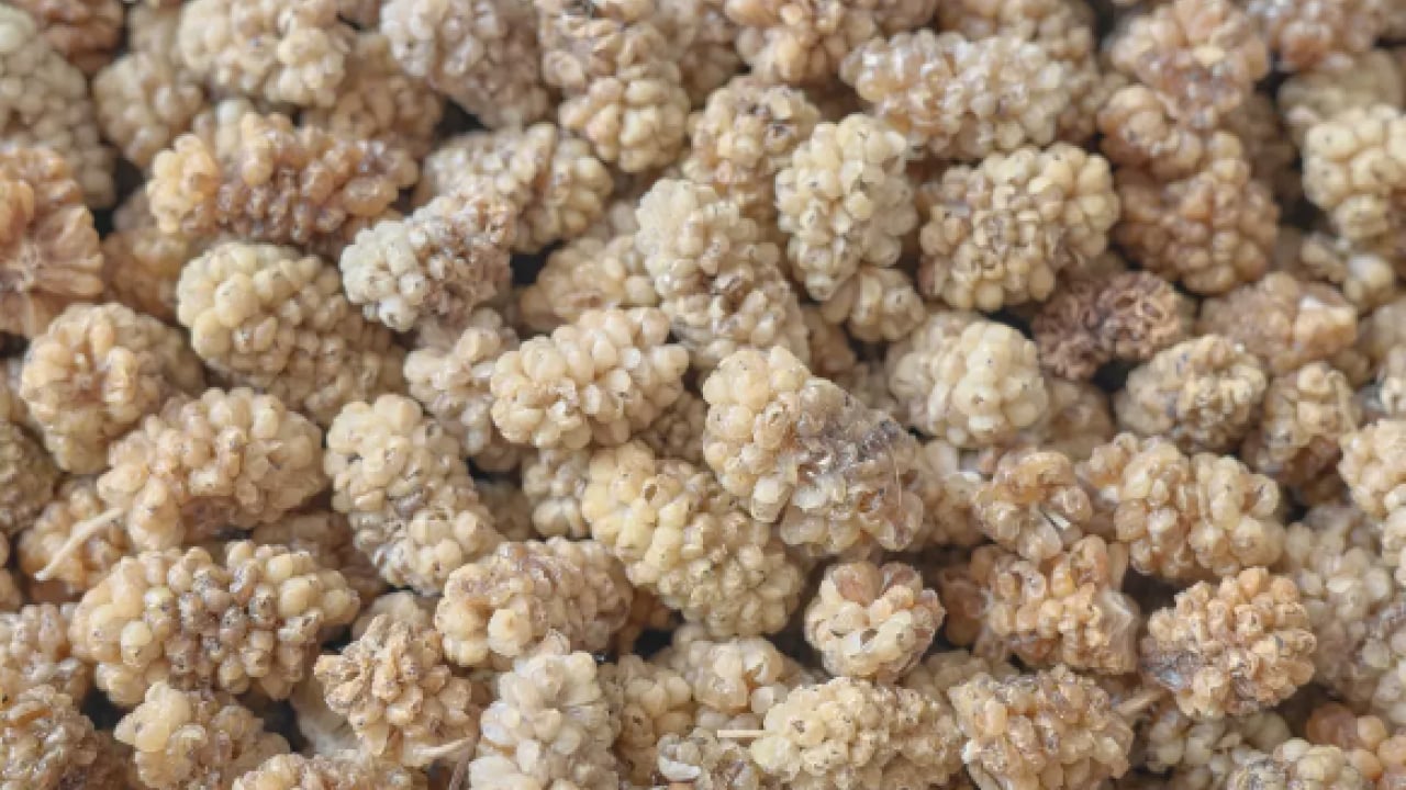 Foto - Kemik erimesine karşı süt kadar etkili! Sindirimi tıkır tıkır çalıştıyor...