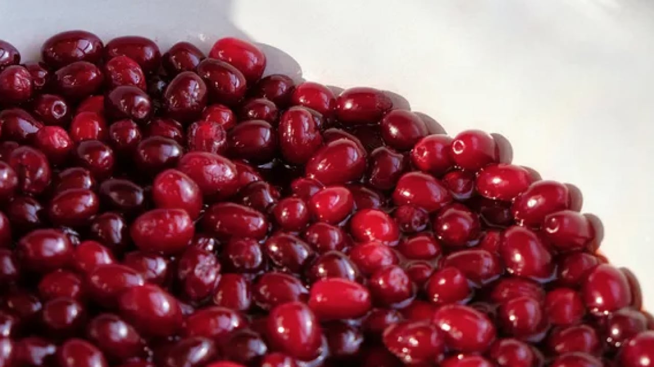 Foto - Çelik gibi kemiklerin anahtarı! Her gün 3 adet tüketmek yetiyor... Kemikleri çelik gibi güçlendiriyor