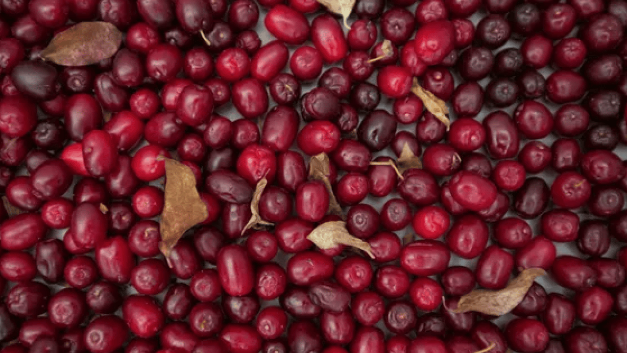 Foto - Çelik gibi kemiklerin anahtarı! Her gün 3 adet tüketmek yetiyor... Kemikleri çelik gibi güçlendiriyor