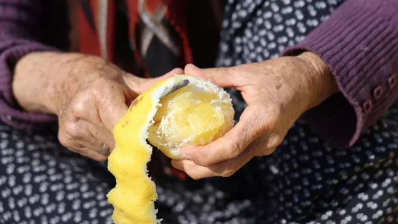 Foto - Kendi harçlıklarını çıkarıyorlar: Dalında 20 lira, kurusu 65 lira!