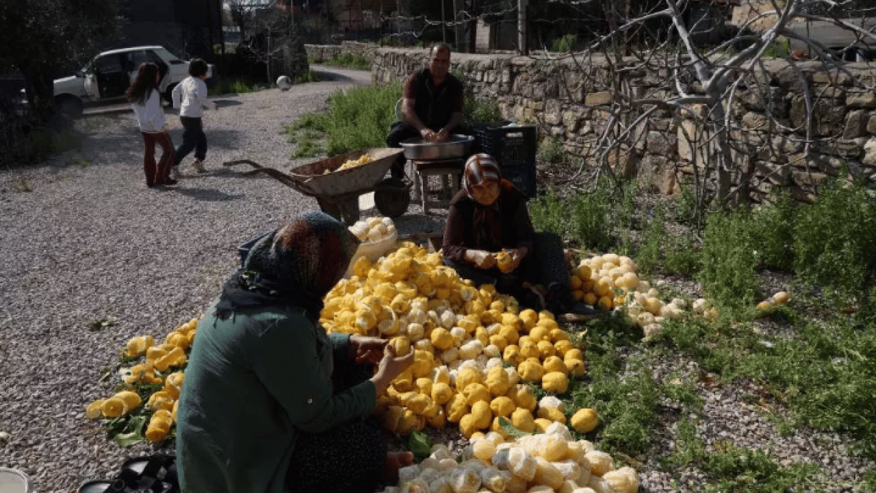 Foto - Kendi harçlıklarını çıkarıyorlar: Dalında 20 lira, kurusu 65 lira!