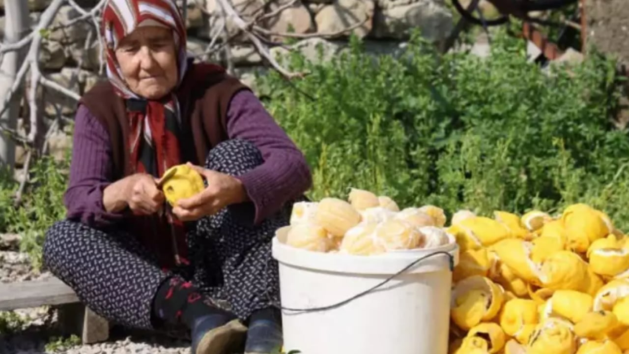 Kendi harçlıklarını çıkarıyorlar: Dalında 20 lira, kurusu 65 lira!