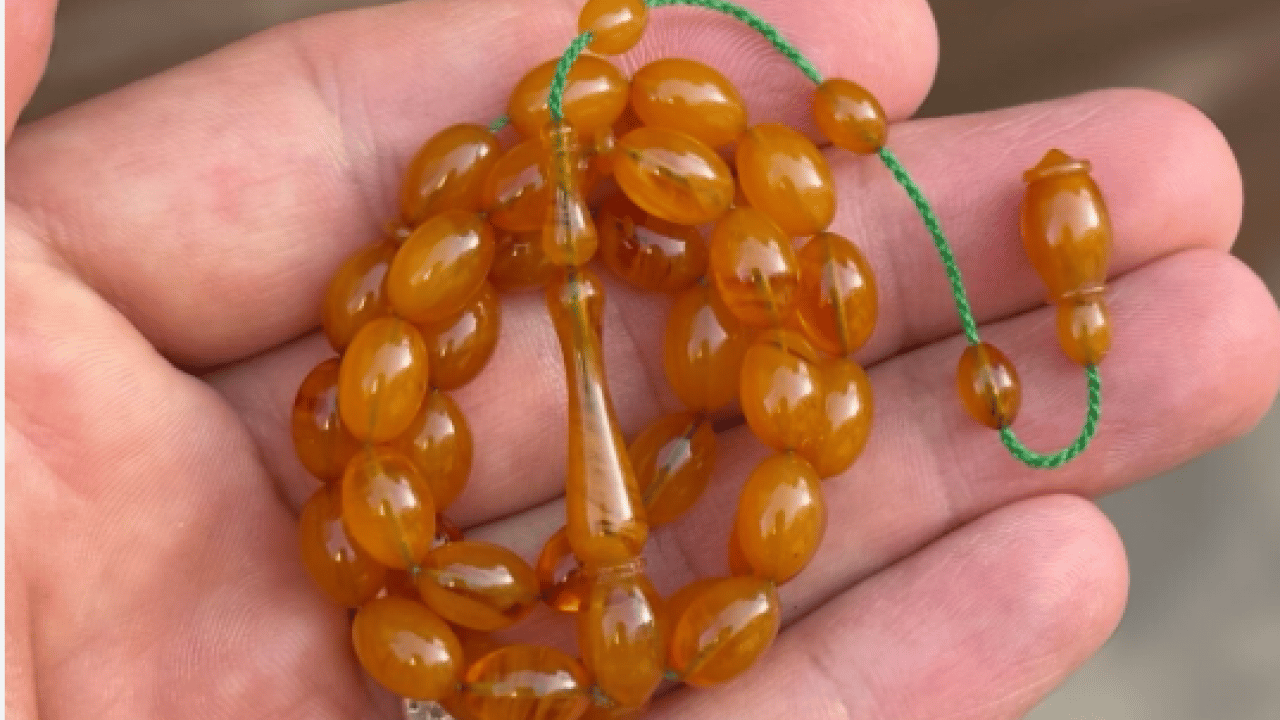 Foto - Kendi imkanıyla üretiyor: Tanesini 40 bin liradan satıyor!