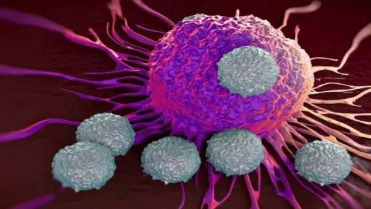 Foto - Kendi sonumuzu kendimiz hazırlıyoruz: Yüzde 37 önlenebilir!