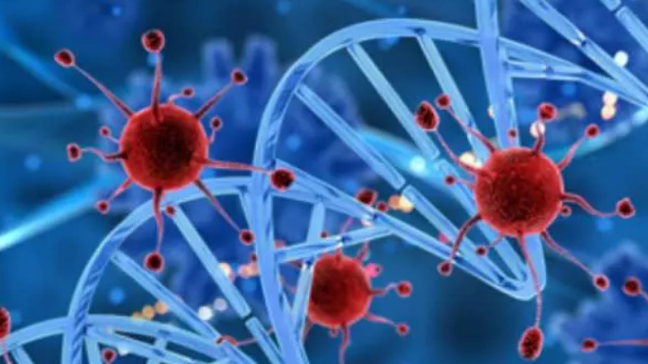 Foto - Kendi sonumuzu kendimiz hazırlıyoruz: Yüzde 37 önlenebilir!