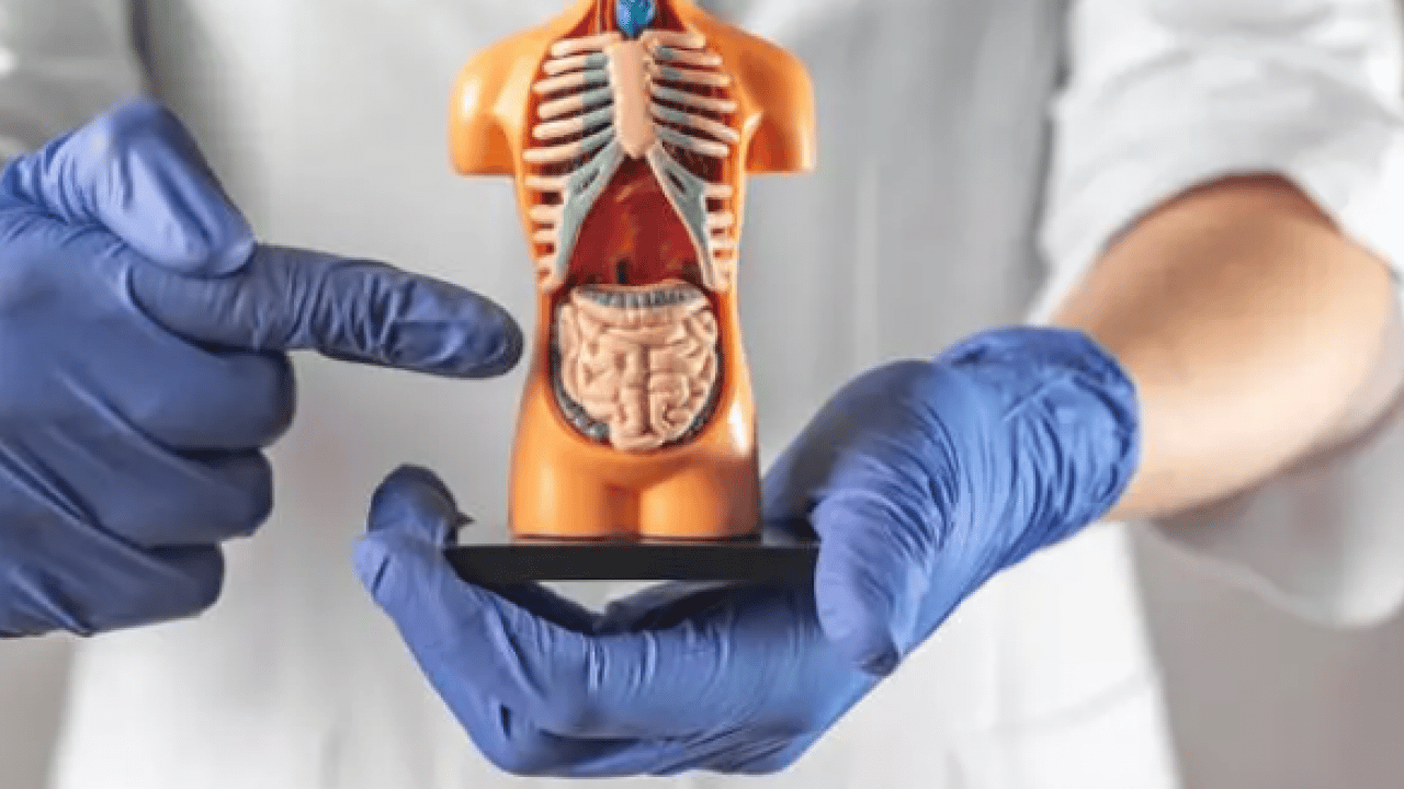 Foto - Kendi sonumuzu kendimiz hazırlıyoruz: Yüzde 37 önlenebilir!