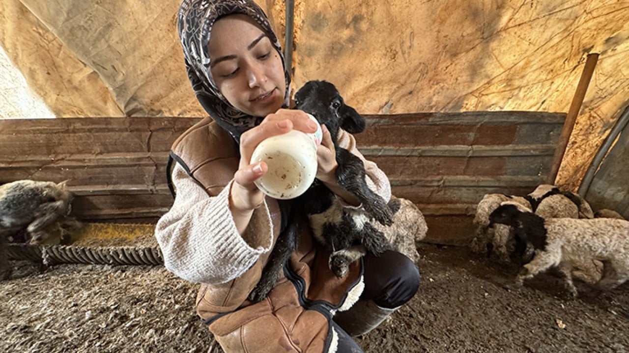 Foto - Kendi sürüsüne çobanlık yapıyor DepremLe kaybettiğini destekle kazandı