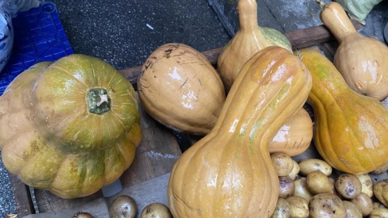 Foto - Kendisi ayrı, çekirdeği ayrı şifa! Faydasını duyan hemen almaya gidiyor