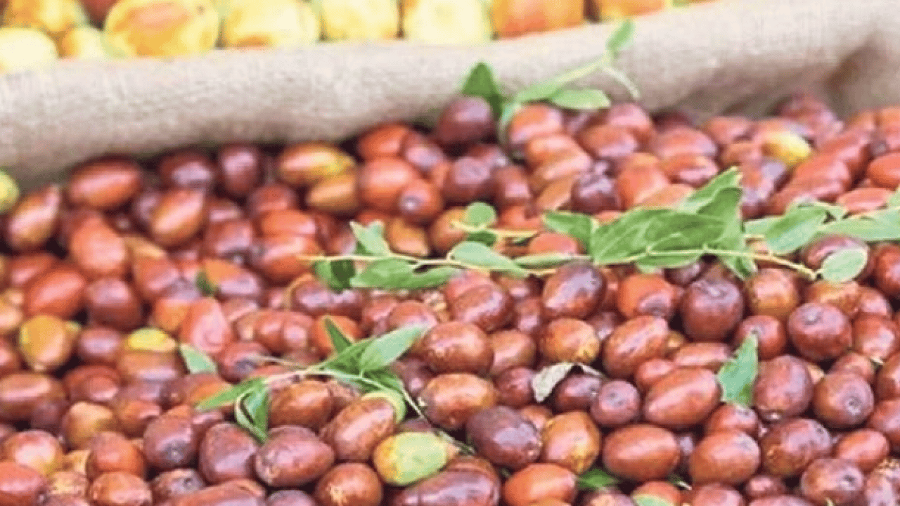 Foto - Kendisi küçük şifası büyük! Günde 3 tane yiyin