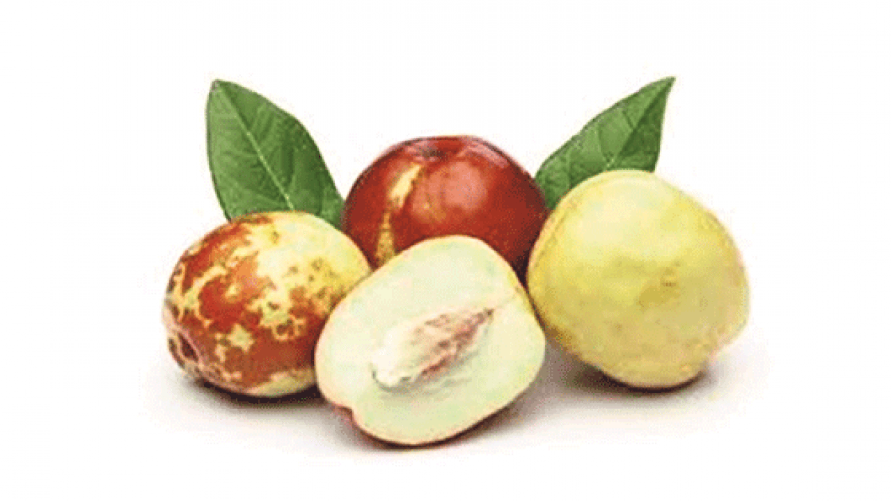 Foto - Kendisi küçük şifası büyük! Günde 3 tane yiyin