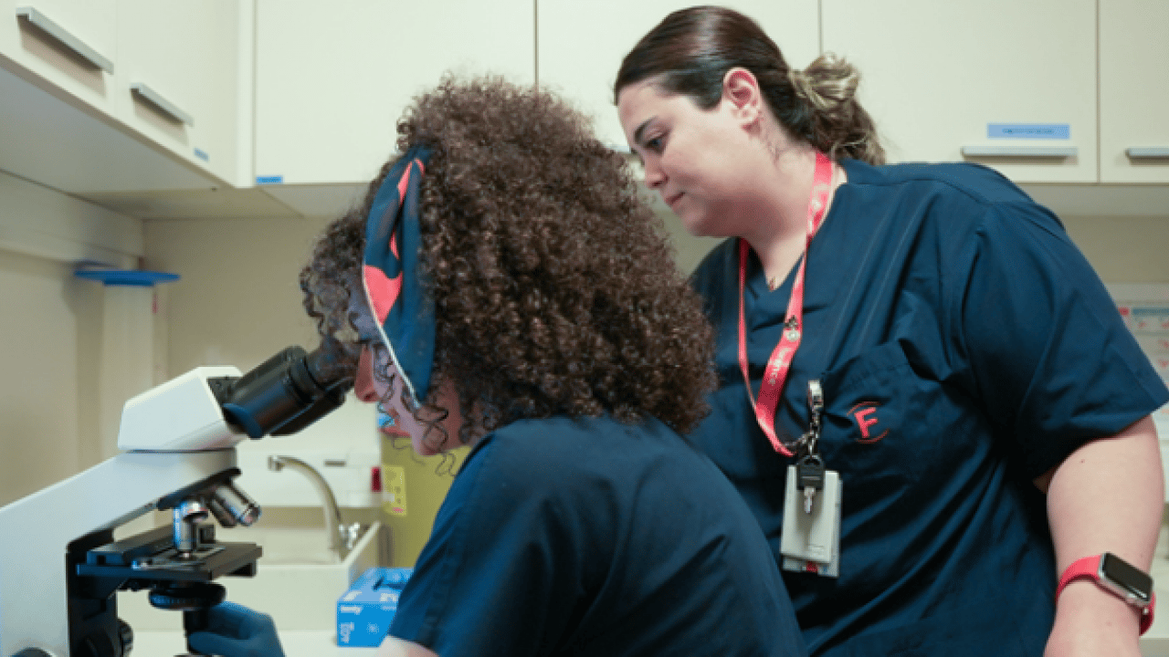 Foto - YÖK müjdeyi duyurdu: Kene sorunu tarih oluyor!