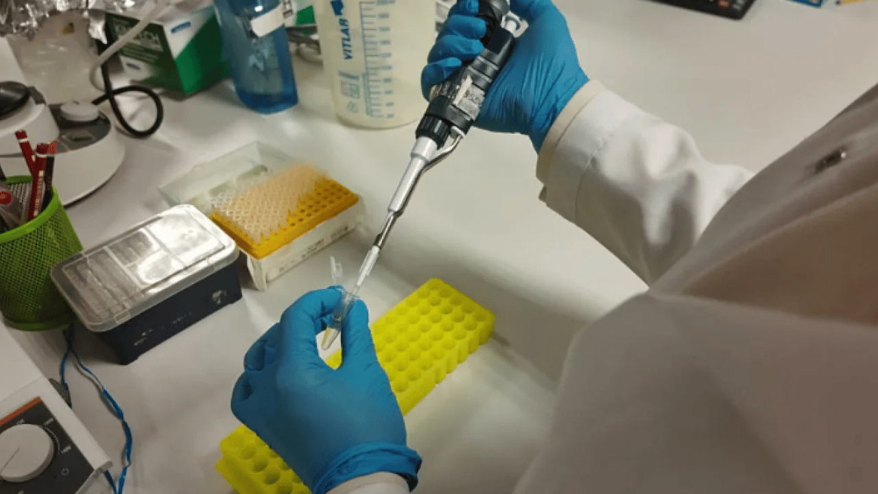 Foto - YÖK müjdeyi duyurdu: Kene sorunu tarih oluyor!