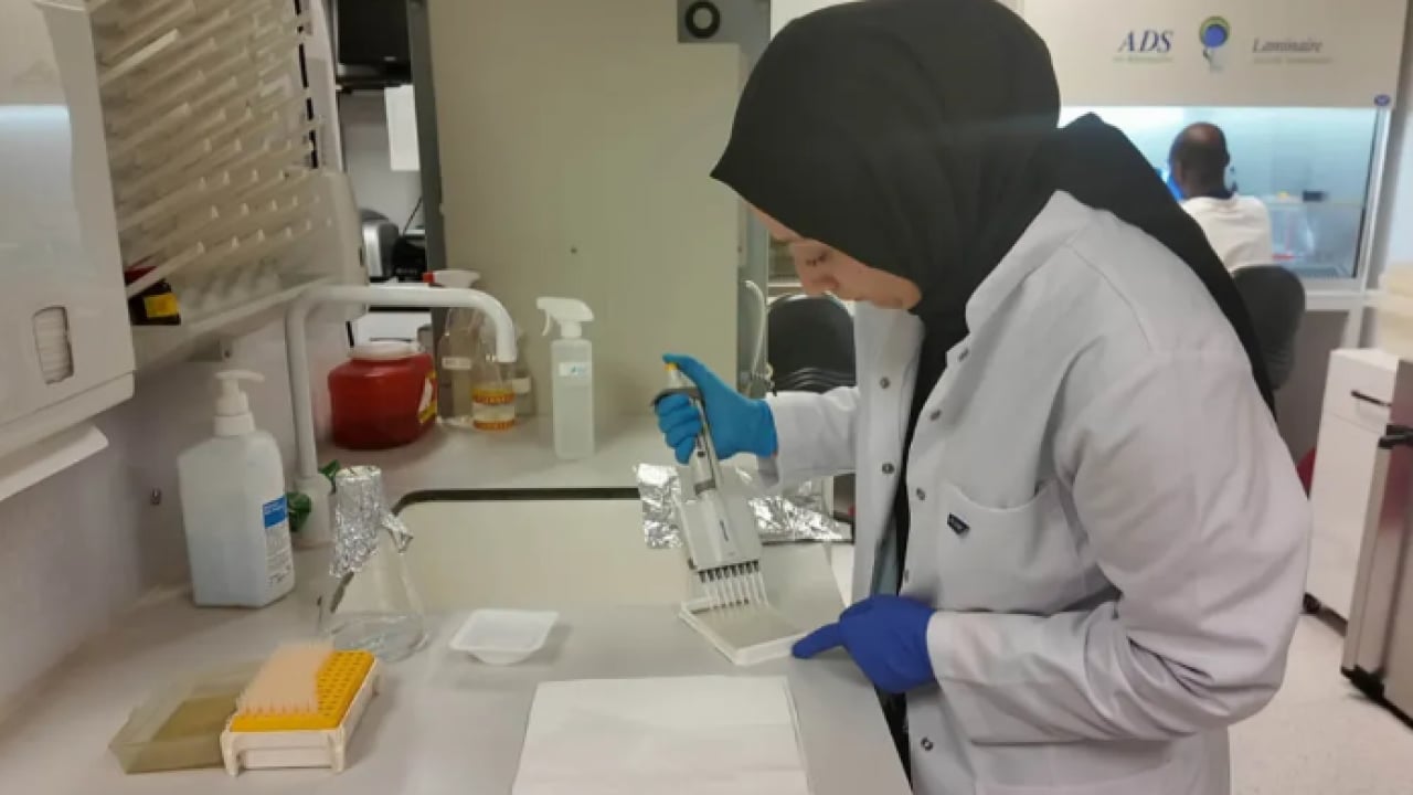 Foto - YÖK müjdeyi duyurdu: Kene sorunu tarih oluyor!