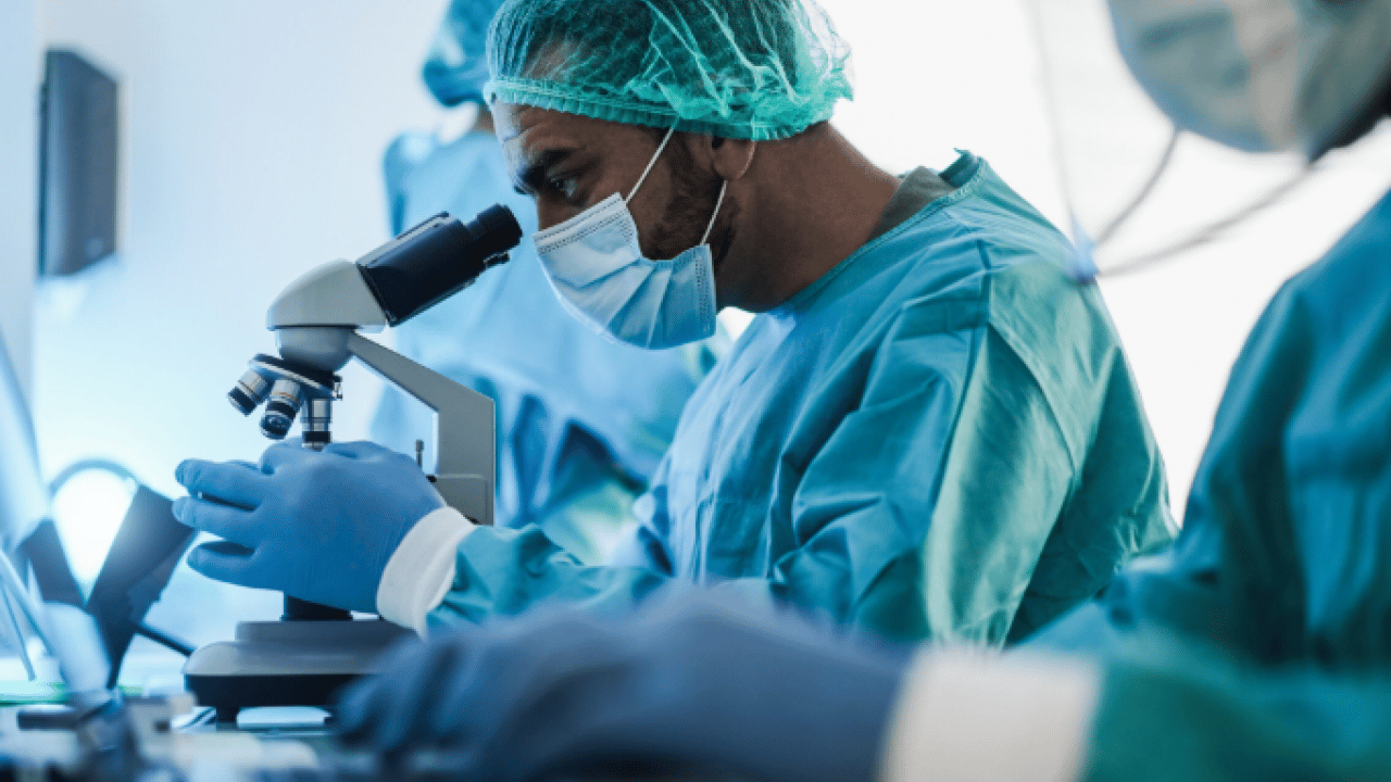 Foto - YÖK müjdeyi duyurdu: Kene sorunu tarih oluyor!