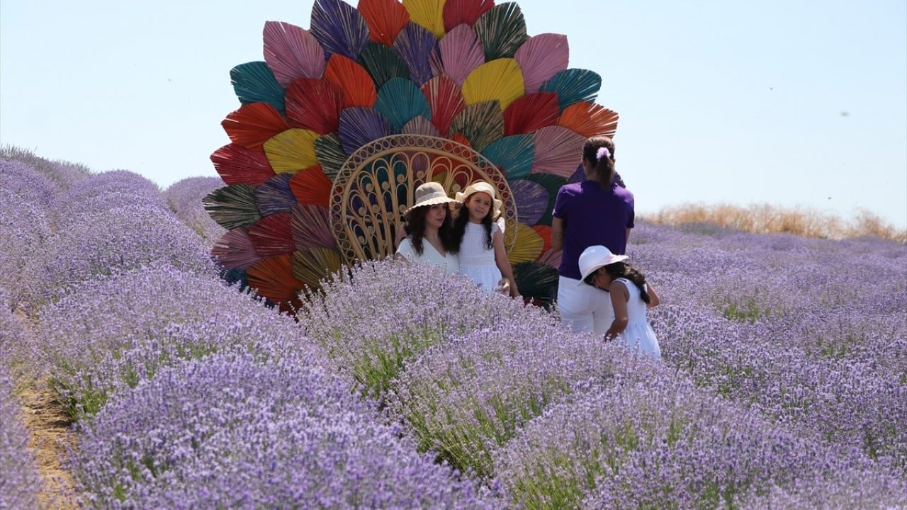 Foto - Kente turist akını sürüyor Turizmde gelinen son nokta lavanta tarlası!