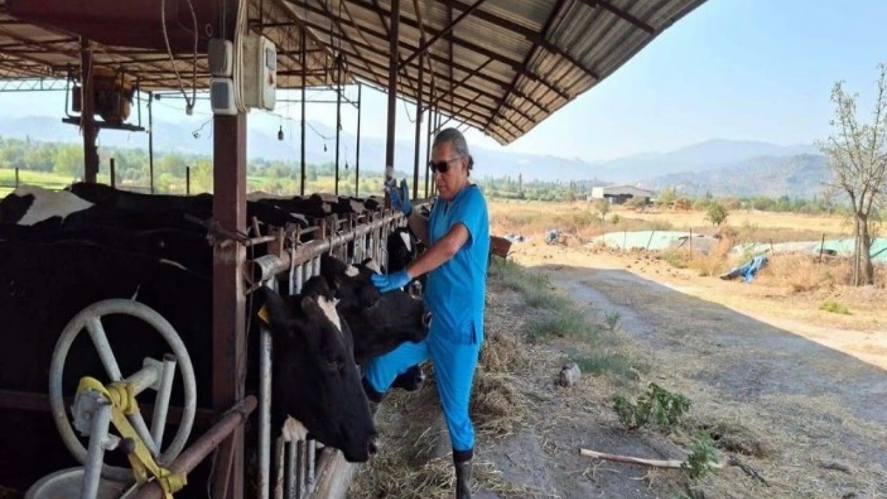 Foto - Kenti ayağa kaldıran alarm! 9 mahalle karantinaya alındı
